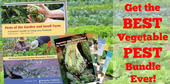 Photo of Pests of the garden and small farm book and Vegetable pest identification cards.