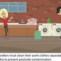 Pesticide handlers must clean their work clothes separate from the family laundry to prevent pesticide contamination.