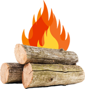 Don't Move Firewood!