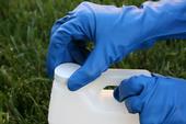 Chemical resistant gloves for applying pesticides. (Credit: C Reynolds)