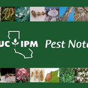 UC IPM Pest Notes