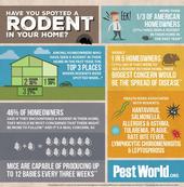 rodent awareness infographic
