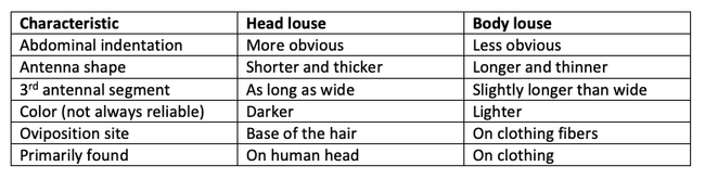 Table 1. Comparison of characteristics of head lice and body lice.