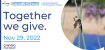 Together we give. Giving Tuesday 2022. for Pests in the Urban Landscape Blog