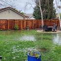 A flooded backyard in Elk Grove, Calif. following exceptional amounts of rain in January. Taking steps to improve drainage and reduce water damage following flooding is crucial to the health of your plants and lawn. Photo credit: Erica Schroepfer, used with permission.
