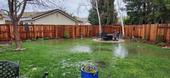 A flooded backyard in Elk Grove, Calif. following exceptional amounts of rain in January. Taking steps to improve drainage and reduce water damage following flooding is crucial to the health of your plants and lawn. Photo credit: Erica Schroepfer, used with permission.