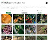 A photo of the Wildlife Pest Identification Tool.