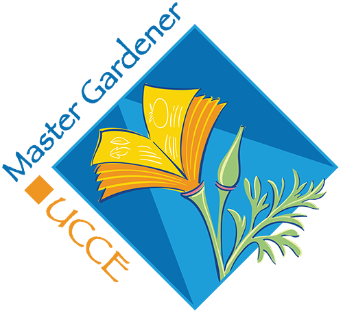 yellow poppy logo for Master Gardeners program