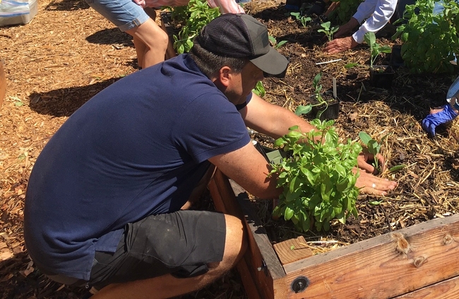 Extending the arms away from the body causes the back to round and puts excessive pressure on the vertebrae.Photo credit: Courtesy of UC Master Gardener Norine Cepernich.