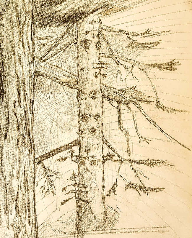 Sketch of Tree With Eyes - Al Alvarado