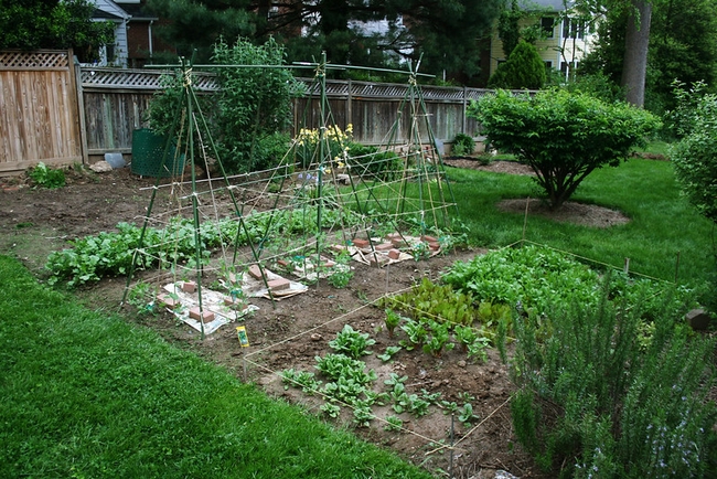 spring vegetable garden by woodleywonderworks is licensed under CC BY 2.0.
