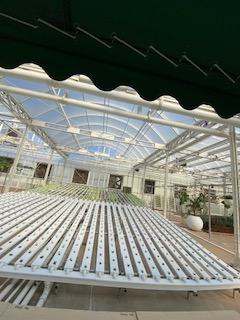 wave bed hydroponics