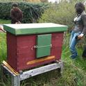 Bee box. (photos by Betty Homer)