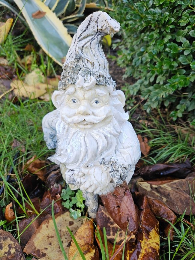 Garden Gnome - P. Pashby