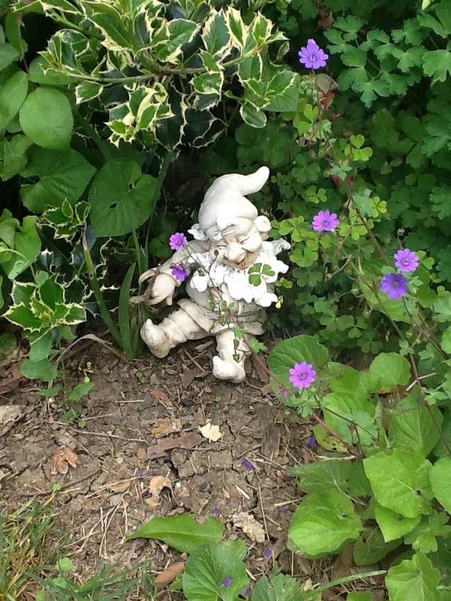 Joyous little garden gnome. (photo by Cheryl Potts)