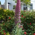 Glorious Tower of Jewels. (photos by Erin Mahaney)