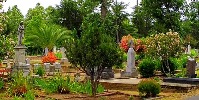 cemetery 2