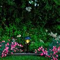 Garden lights. (photo by Marime Burton)