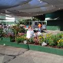 Side-view of the entry way garden in the Twilight Theater. (photo by Jennifer Baumbach)