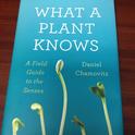 book cover what a plant knows