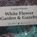 UC Davis Arboretum White Flower Garden sign. (photo by Marime Burton)
