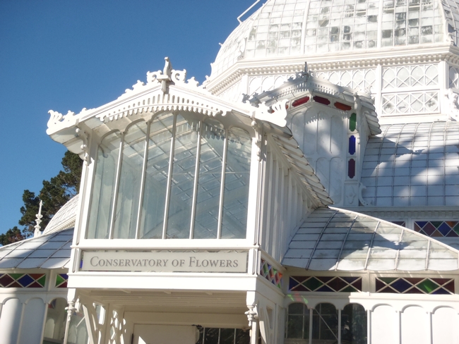 SF Conservatory of Flowers