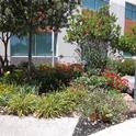 The Children's Memorial Garden (photo by Sharon Rico)