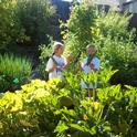 Alexis and Ethan harvest zucchini. (photo by Sarah Trimble)