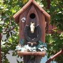 Entrance to the bird house. (photos by Sharon Rico)