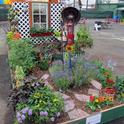 Amateur Garden entry that won a blue ribbon. (photo by Carolyn Allen)