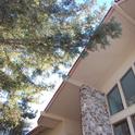 Redwood boughs hang over the roofline of this Vacaville home. Time to call a certified arborist! (photo by Kathy Thomas-Rico)