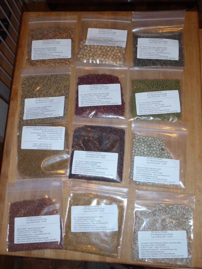 Various seed packets you can buy. ( photos by Betty Homer)