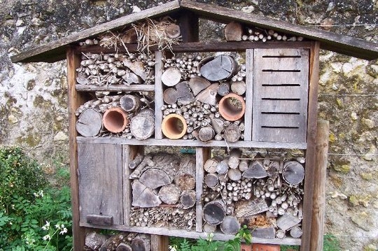 Bee habitat.