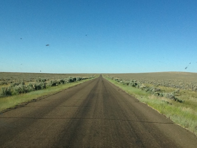 Dusty, straight road.