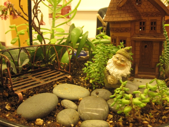 Mini garden with mini gnome.