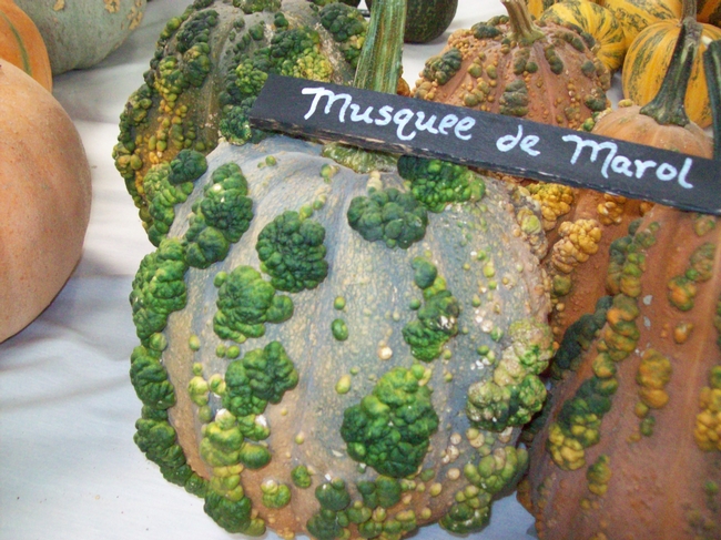 Heirloom gourd. (photos by Betty Victor)