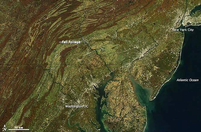 NASA's Aqua satellite imagery of the Mid-Atlantic area, stretching from New York to Washington, D.C. and points west. The redder areas of forest are largely oak trees in the Appalachians. (courtesy of News.Discovery.com)