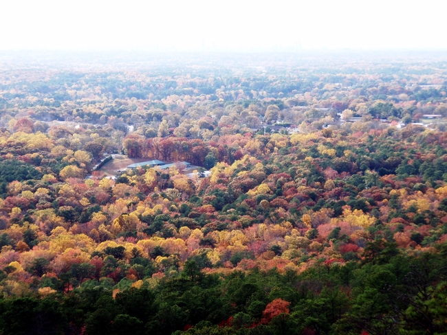 Fall in Stone Mountain Georgia visiting family (by JoEllen Myslik)