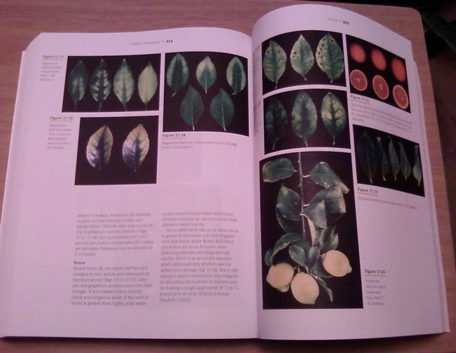 Sample pages from 2nd ed MG Handbook. (photo by Kathy Low)