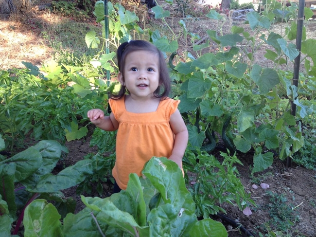 Baby Finn in Garden. (photos by Maria X Isip-Bautista)