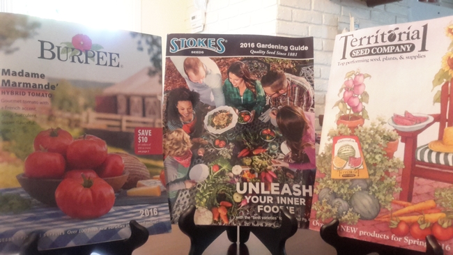 Garden catalogs. (photo by Betty Victor)