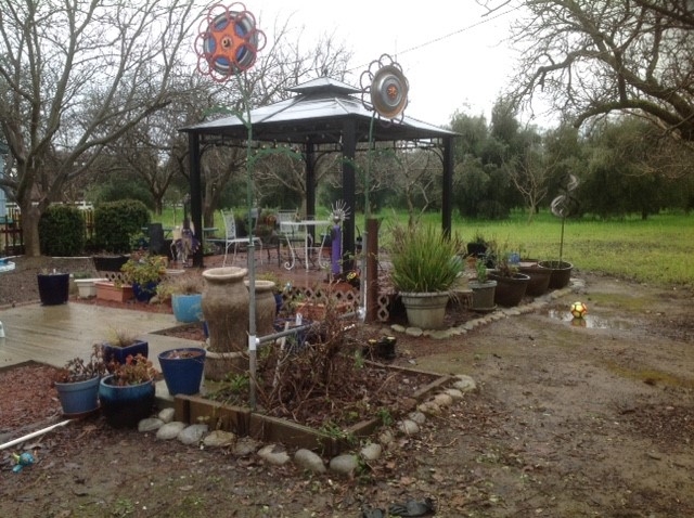 The picture below is how the trellis and (lack of) honeysuckle look today after Steve had to prune away the plant in order to fix the trellis for me. He lowered the garden art flowers some to decrease the torque should we have another week of gale force winds. Now we just have to wait for spring to see how my beautiful plant responds to his brand of pruning.