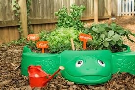 Kids Gardening Project  in Wading Pool