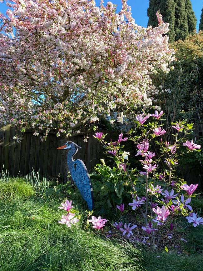 Crab apple and Saucer Magnolia. photo by Erin Mahaney