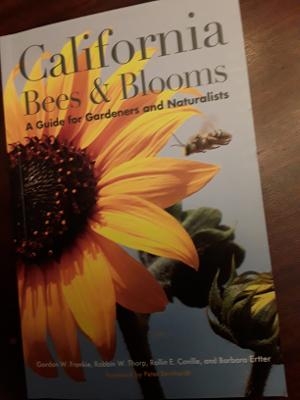 california bees and blooms cover