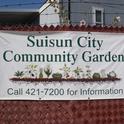 Suisun Community Garden (Photo by Donny Homer)