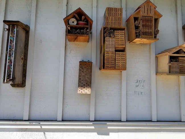 Well Utilized Pollinator Homes