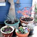 Pots for a small garden. (photo by Esther Blanco)