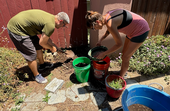 Gardeners sorting compost