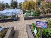 The garden at OUSD's The Center